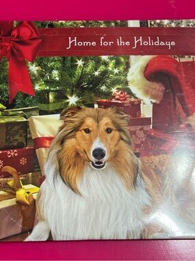 Home For the Holidays - A Collection of Christmas Songs - CD